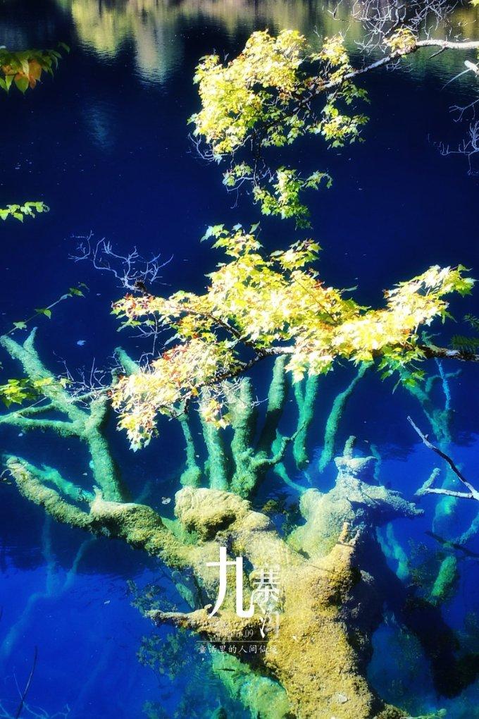 新春走基层|我在盐湖当船长