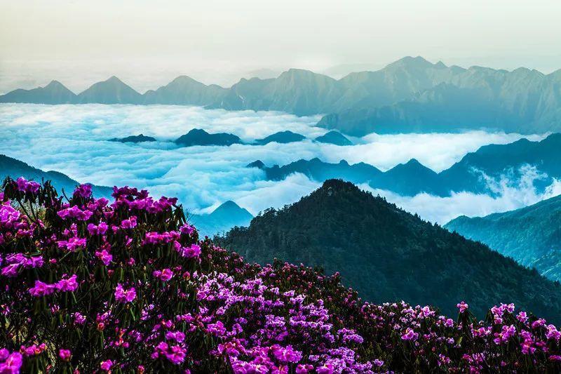 我的老师是偶像