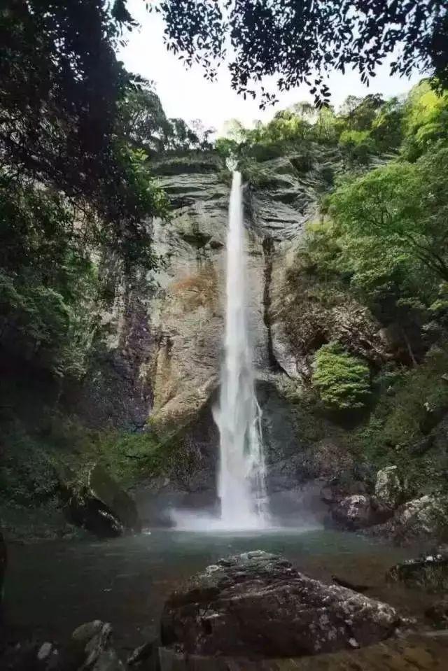 塞伯利亚之谜3